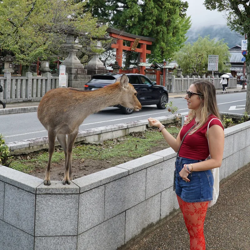 Japan