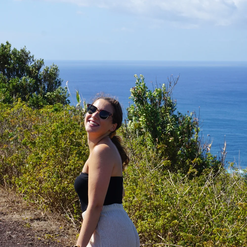 Viewpoint/Miradouro de Monte Santo