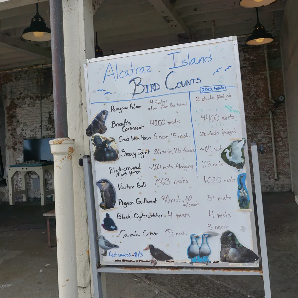Alcatraz Prison San Francisco California Estados Unidos da América Viagem
