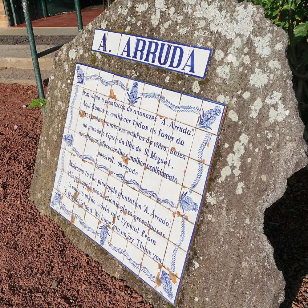 Ananases A Arruda