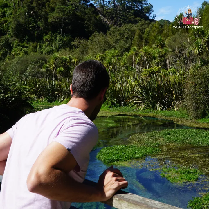 The author's partner, seen from behind, looking out over the crystal-clear waters of the Blue Spring from the bridge