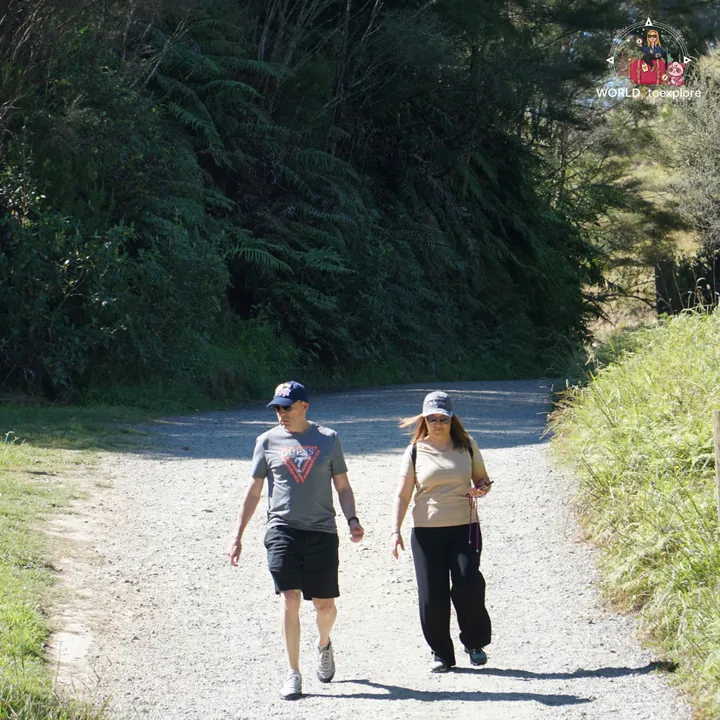 The author's parents walking along the compacted-earth trail of the Te Waihou Walkway, at the Blue Spring