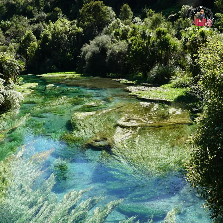 The crystal-clear, blue and turquoise waters of the Blue Spring, with green aquatic plants swaying beneath the surface