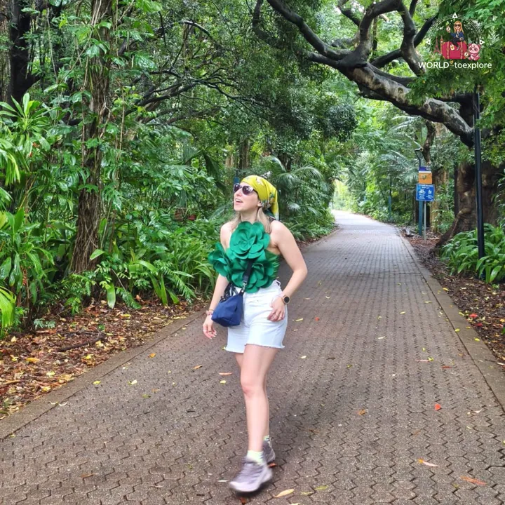 A tree-lined path under dense vegetation in the City Botanic Gardens