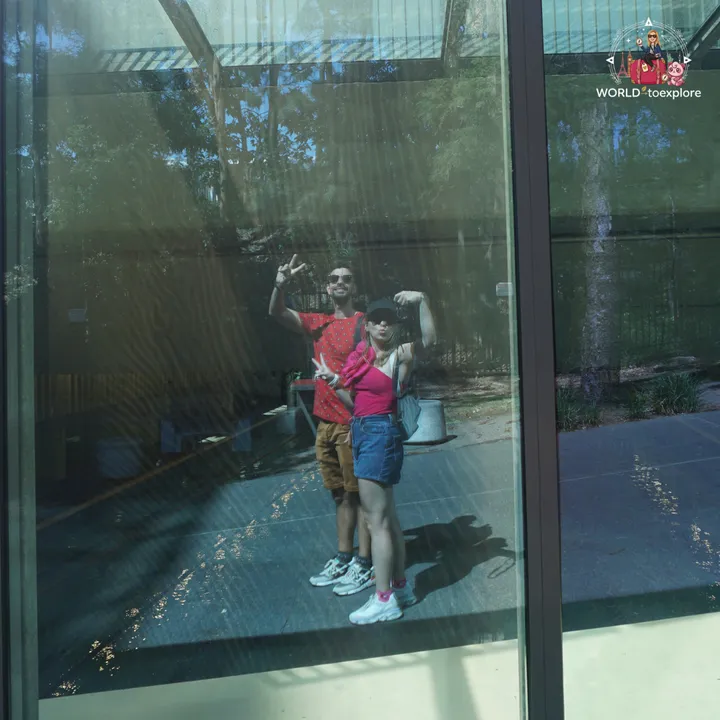 The reflection of a couple in the glass of a modern building next to the City Botanic Gardens