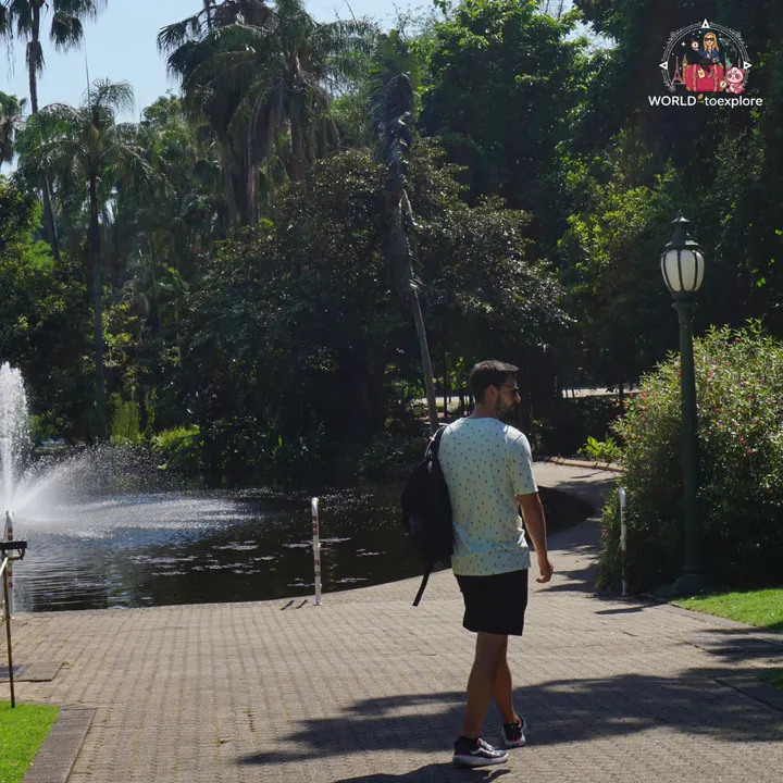 Strolling beside a lake with a fountain in the City Botanic Gardens, surrounded by palm trees