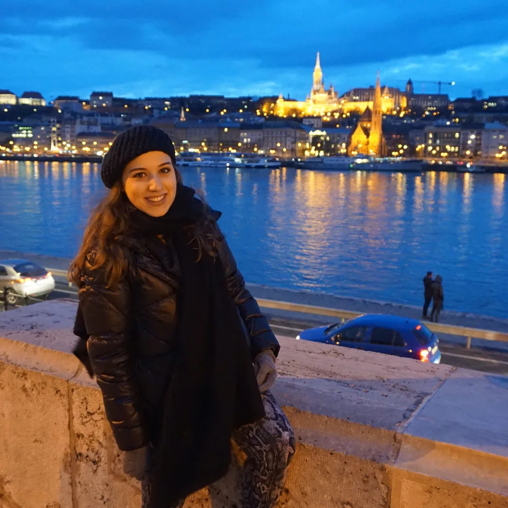 Budapest at night