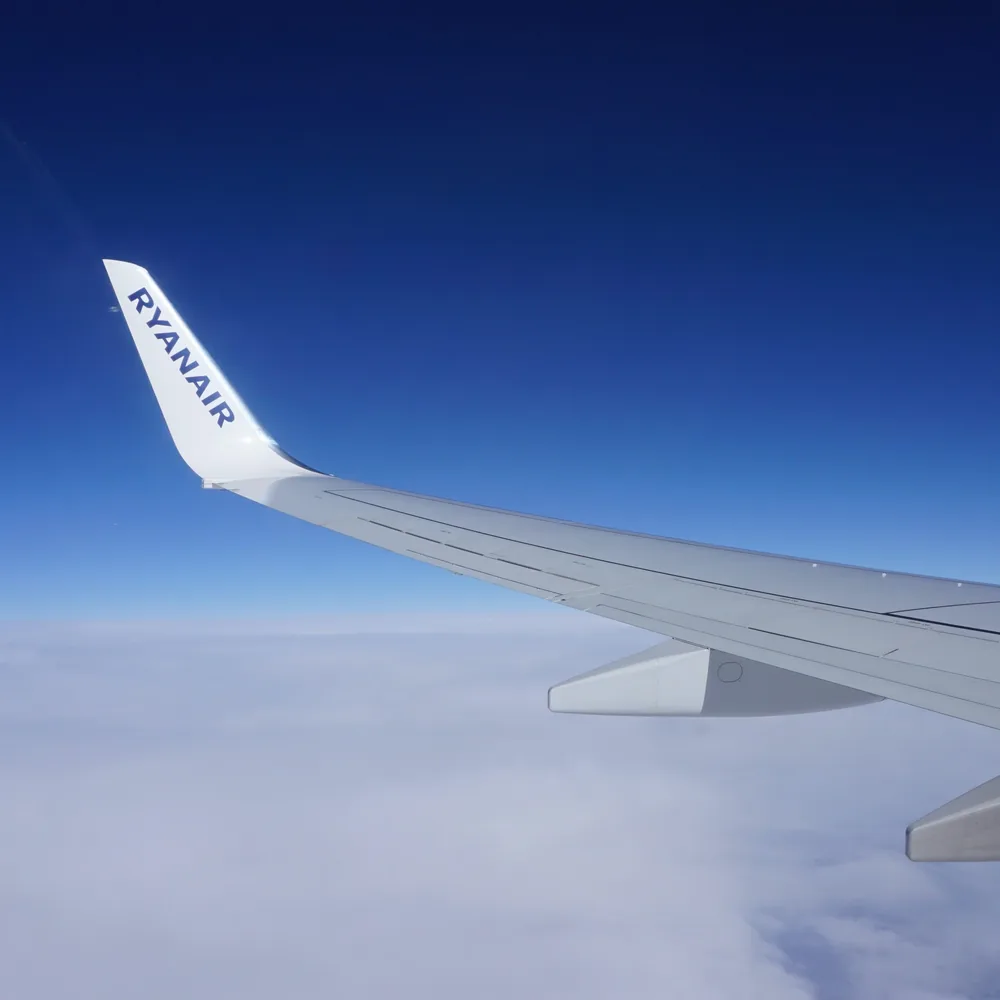 The flight