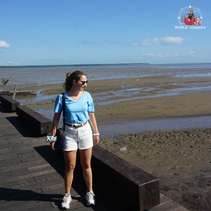 On the Cairns Esplanade, by the mudflats at low tide