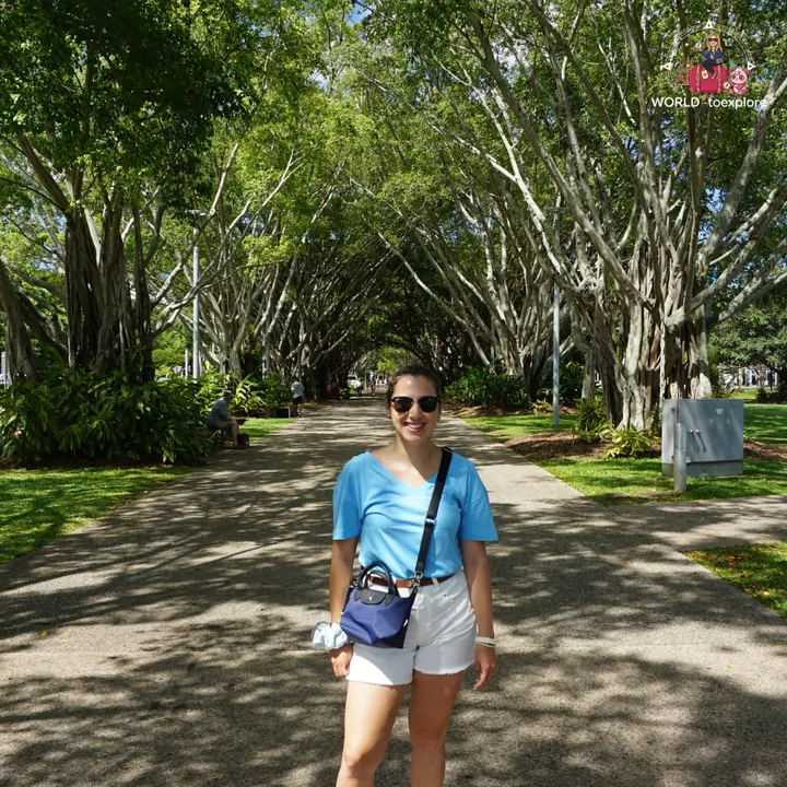 On a tree-lined avenue in central Cairns