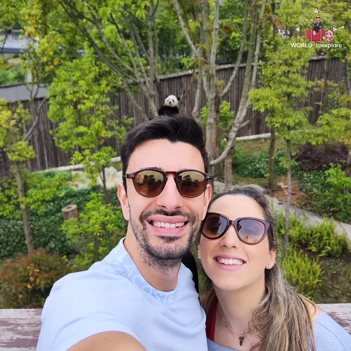 Couple taking a selfie with a giant panda climbing a tree in the background