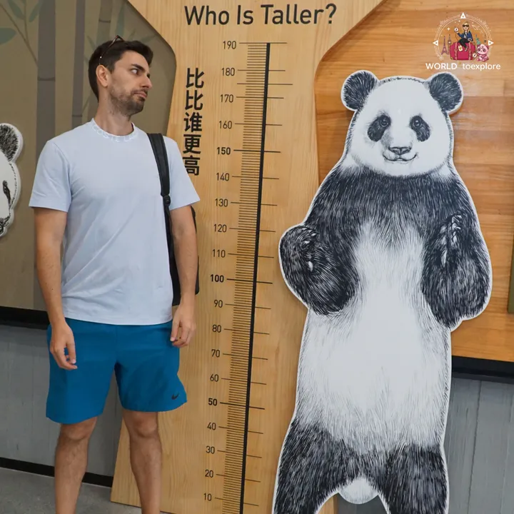 Man next to a decorative ‘Who Is Taller?’ panel with a giant panda silhouette, comparing heights