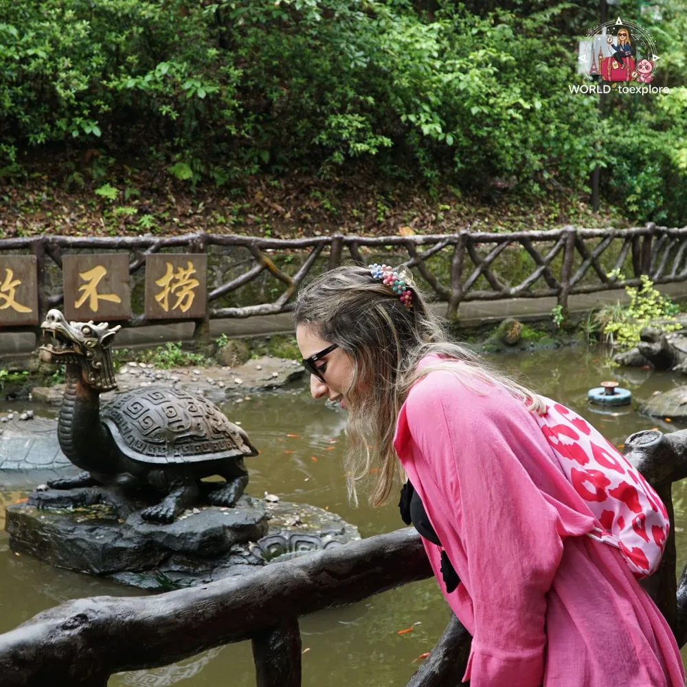 Fonte com tartaruga de pedra em Yuanjiajie, Zhangjiajie