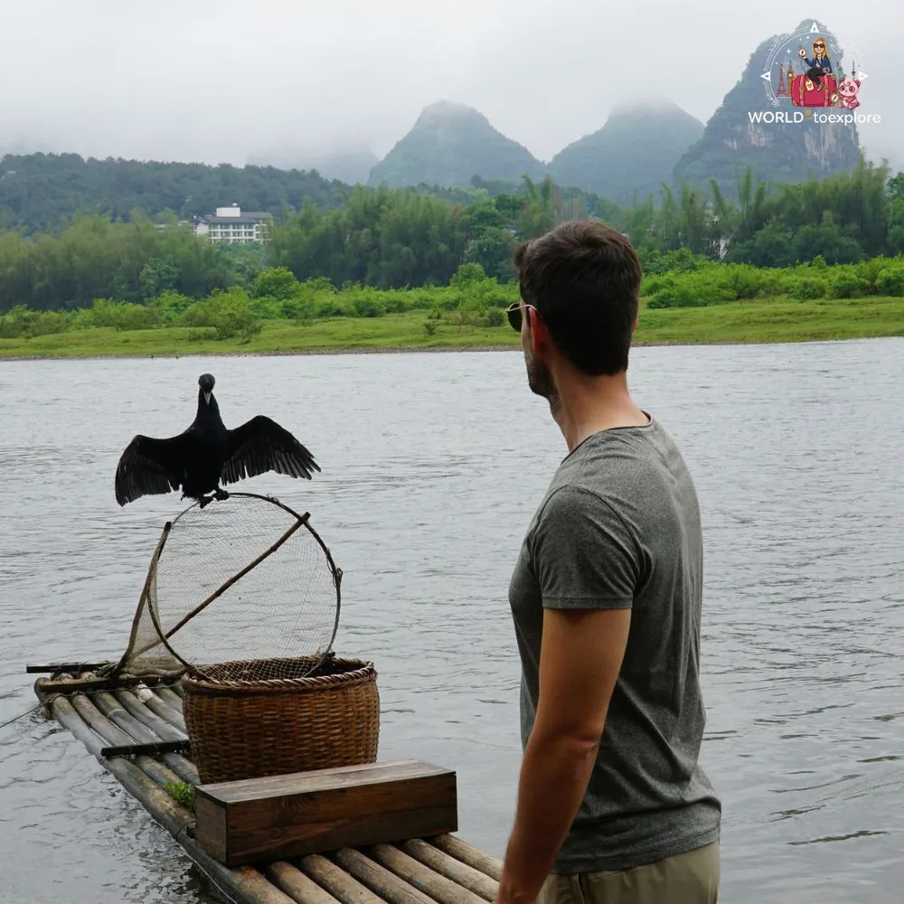 Pescador com corvo-marinho numa jangada no Rio Li, Guilin