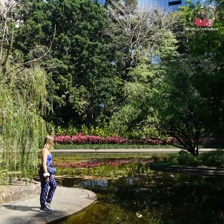 By the water-lily pond, with a weeping willow and beds of pink flowers in the background