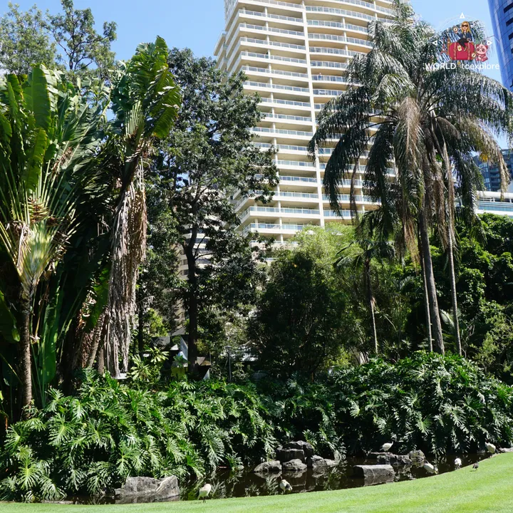 Tropical vegetation and palm trees in the gardens, with a Brisbane skyscraper in the background