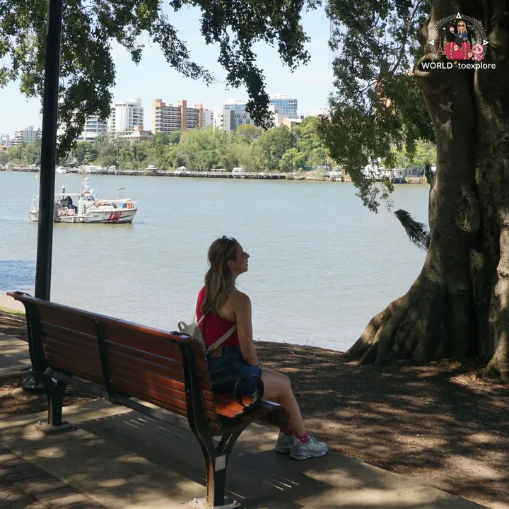 Sitting on a bench in the shade of a fig tree, looking out at the Brisbane River with a boat going by