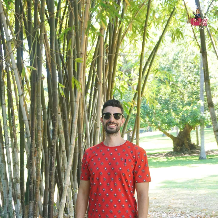 Beside the tall bamboo grove in the gardens, in the shade of the bamboo