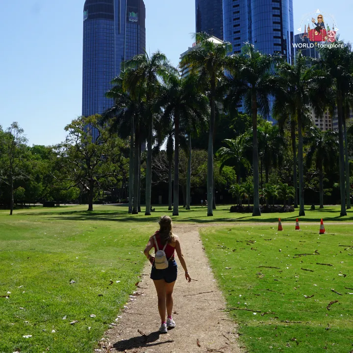 Walking along a trail lined with tall palm trees, with the Brisbane skyscrapers in the background