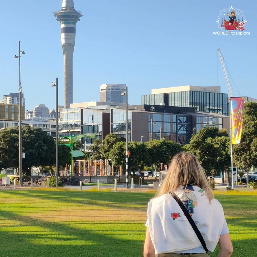 Seen from behind, on a lawn in Auckland, looking towards the Sky Tower and the glass buildings of the city's waterfront