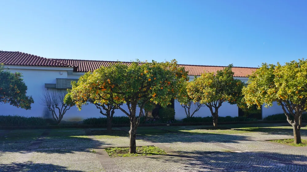 Ruinas de Conimbriga Coimbra