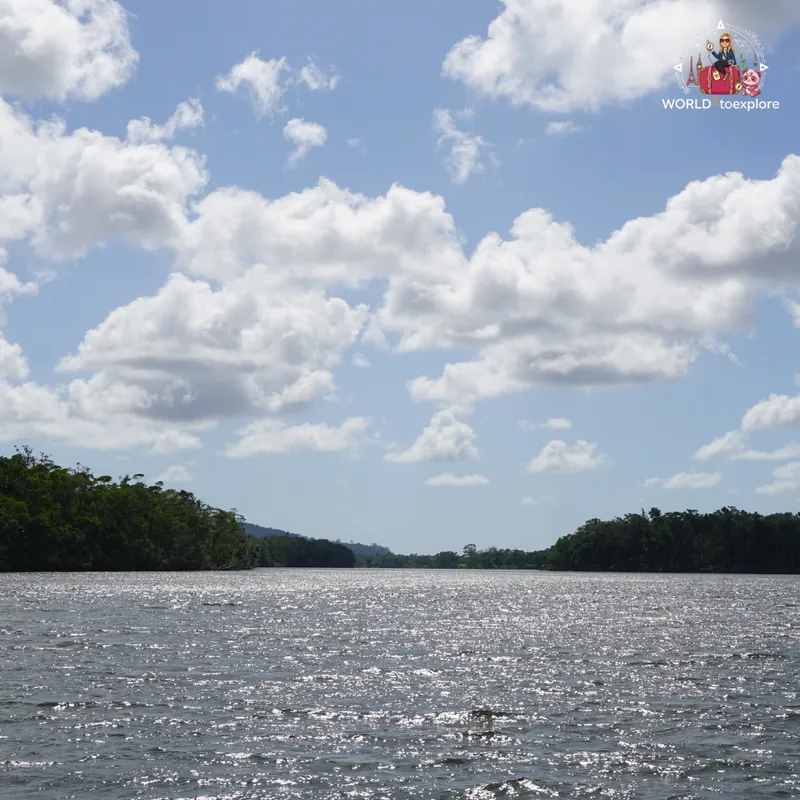 Panoramic view of the Daintree River, with rainforest along the banks and a cloudy sky