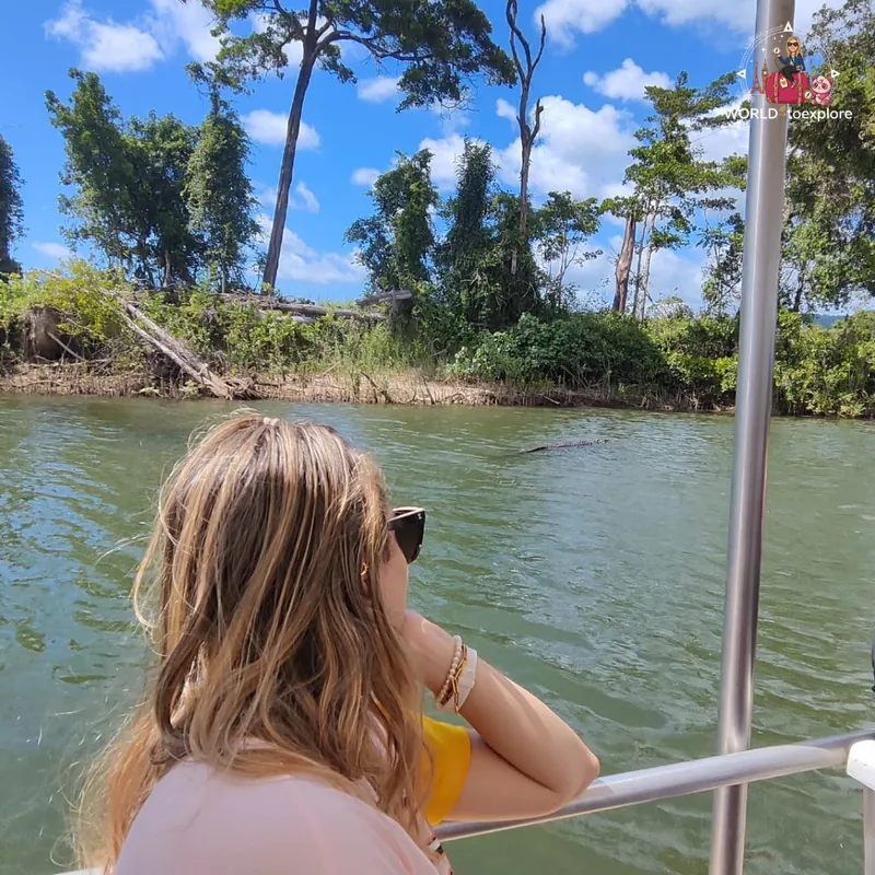 Spotting a crocodile in the distance during the Daintree River cruise