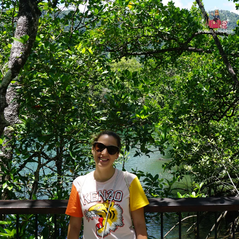 By the Marrdja Boardwalk, with the forest and a watercourse in the background