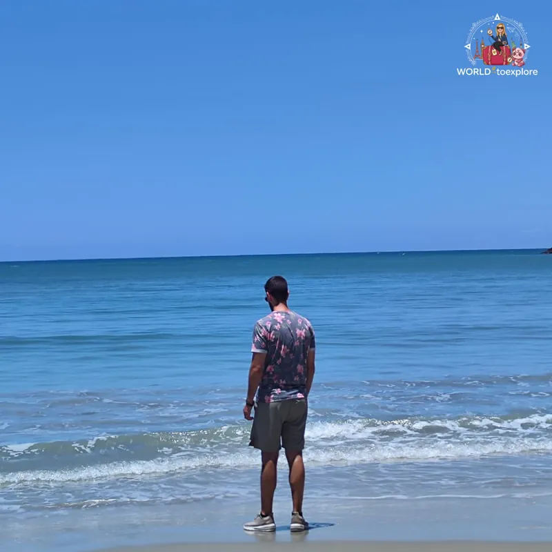 Facing the ocean on Cape Tribulation beach