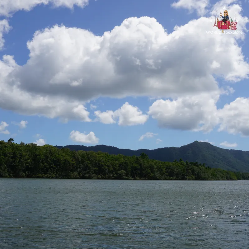 Daintree River flanked by dense rainforest and mountains under a blue sky