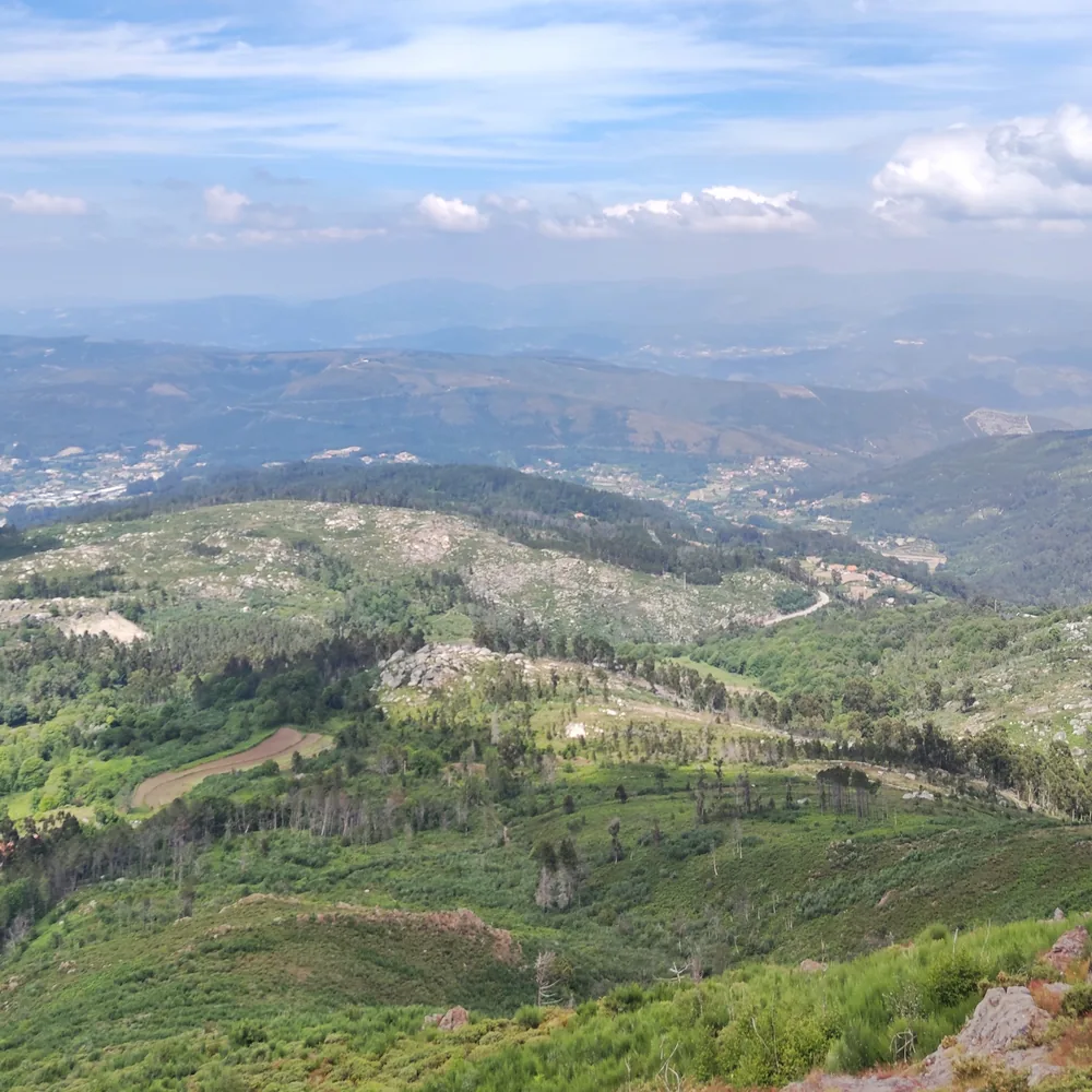 Detrelo da Malhada