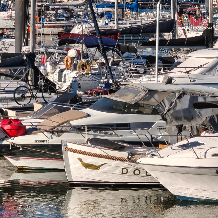 Pleasure boats moored at Douro Marina, in Afurada, with the white hull of a Douro Wonders boat in the foreground