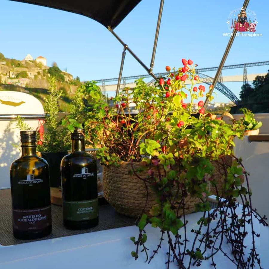 Two Portuguese olive oils for the tasting, beside a basket with a plant with red berries, aboard the Wondy