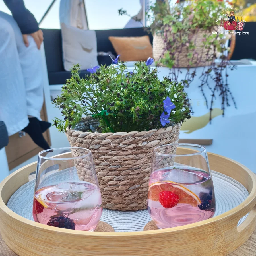 Two glasses of Pink Porto Tonic with raspberry, blackberry and grapefruit, on a bamboo tray beside a flower pot aboard the Wondy