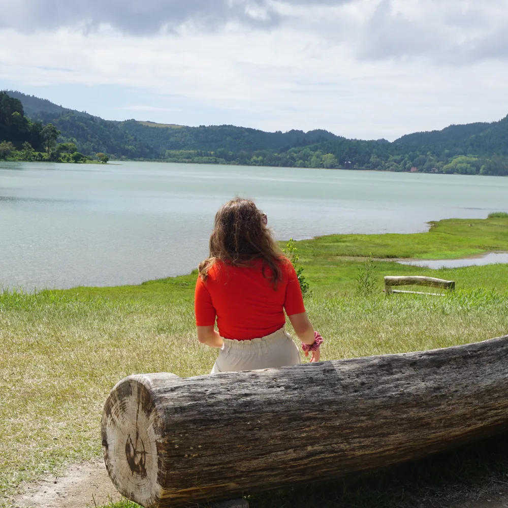 Furnas