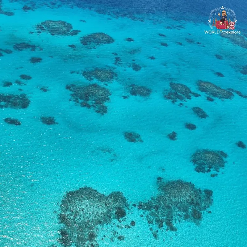 Great Barrier Reef, Australia