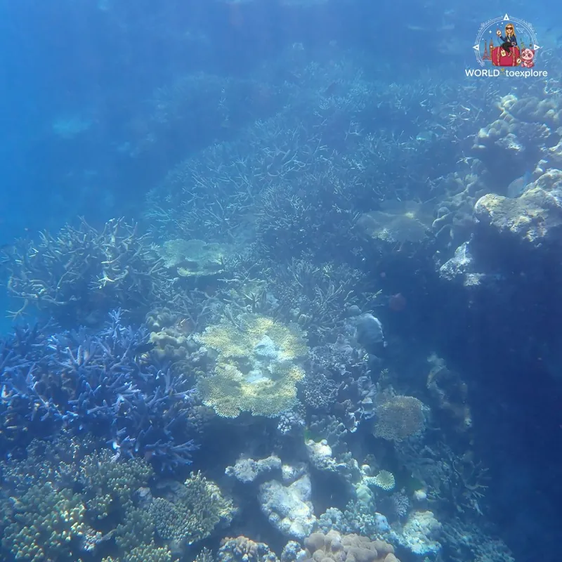 Great Barrier Reef, Australia