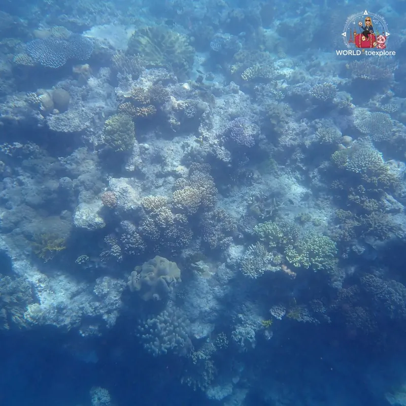 Great Barrier Reef, Australia
