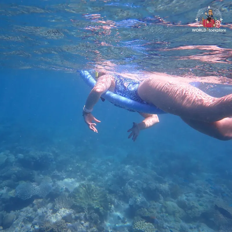 Great Barrier Reef, Australia