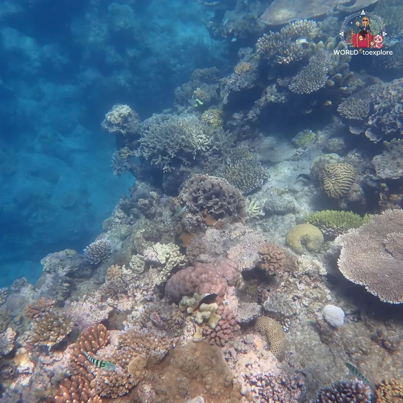 Great Barrier Reef, Australia