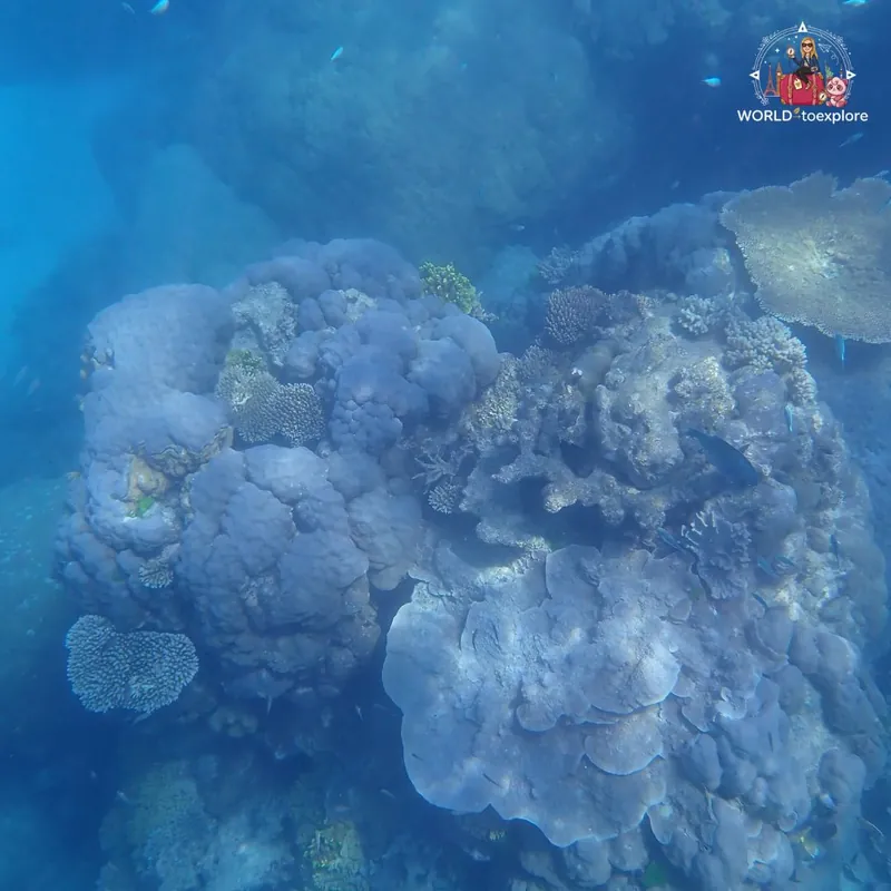 Great Barrier Reef, Australia