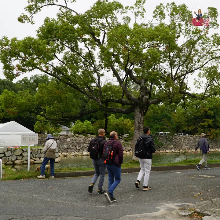 Path leading to Hiroshima Castle, lined with stone walls and trees, with visitors strolling by