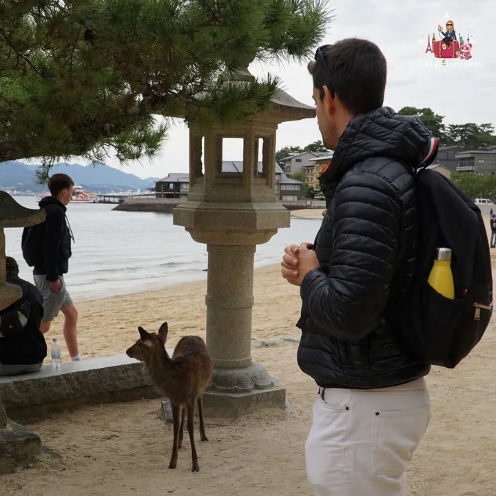 A deer standing next to a stone lantern on the sand of the Miyajima shore