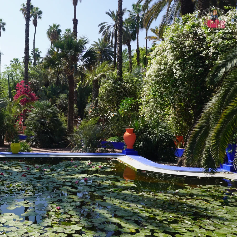 Water lily pond with blue walls and an orange pot, surrounded by palm trees and dense vegetation