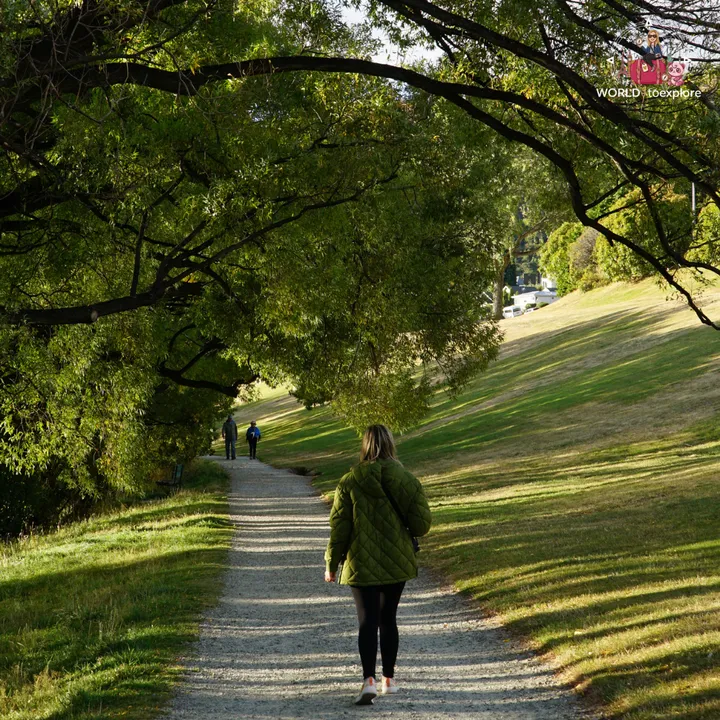 The author walking along a tree-lined path in the Peace Park Wakatipu Reforestation Trust