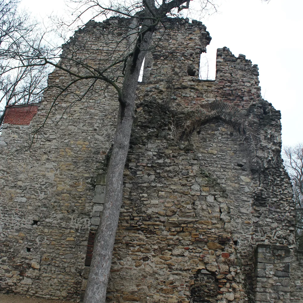 Franciscan Church