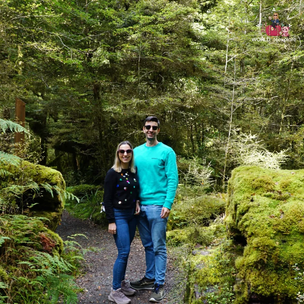 On a forest trail on the way to Milford Sound