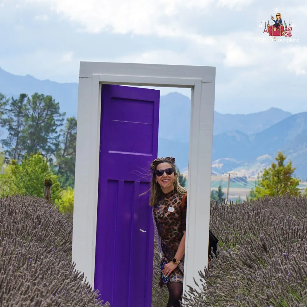 Purple door in the fields of the Wanaka Lavender Farm
