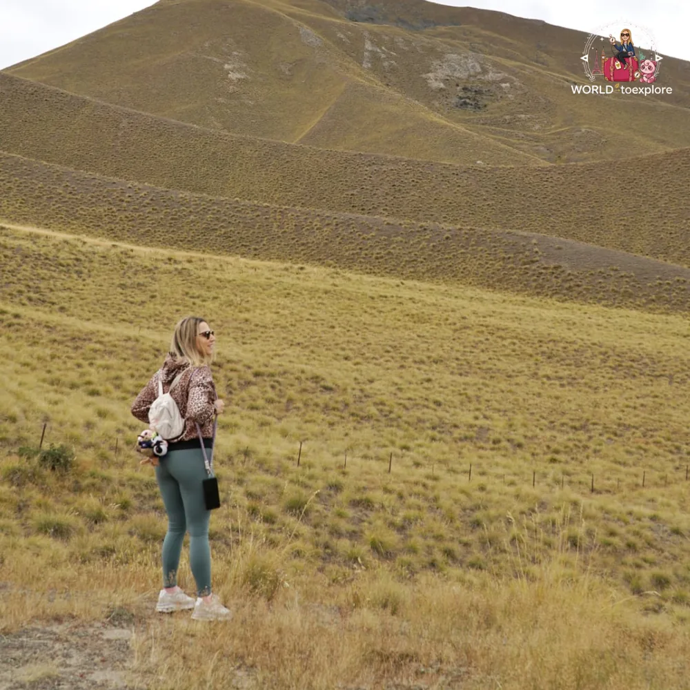 The golden hills of the Lindis Pass