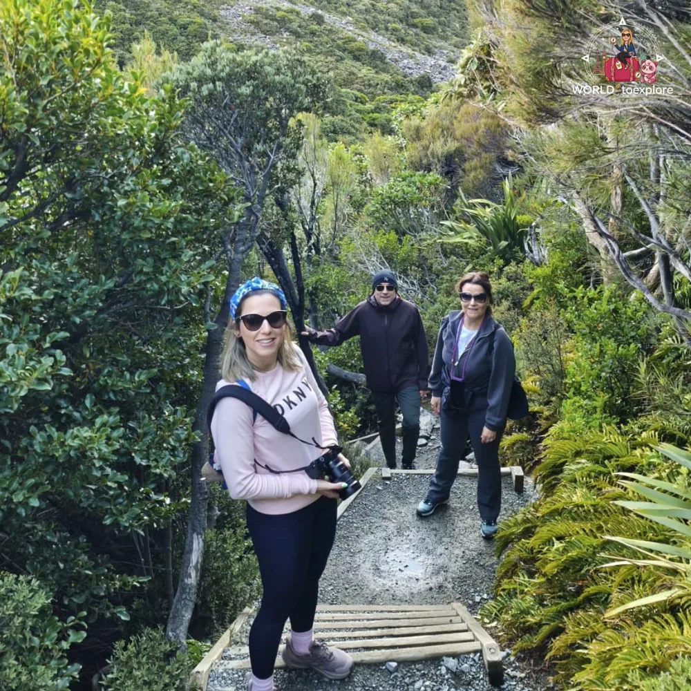 On the trail to Mount Cook (Sealy Tarns Track)